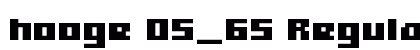 hooge 05_65 Regular preview