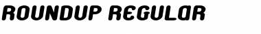Roundup Regular Font