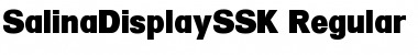 SalinaDisplaySSK Regular Font