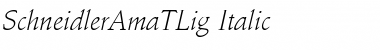 SchneidlerAmaTLig Italic Font