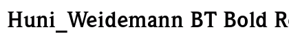 Huni_Weidemann BT Bold Regular preview