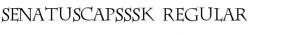 SenatusCapsSSK Regular Font