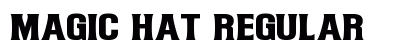 Magic Hat Regular Preview