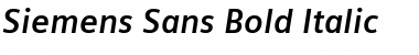 Siemens Sans Bold Italic Font