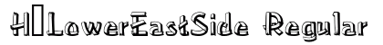 H_LowerEastSide Regular preview