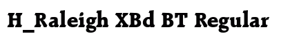 H_Raleigh XBd BT Regular preview