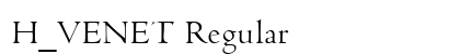H_VENET Regular preview