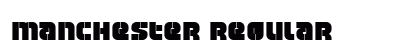 Manchester Regular preview