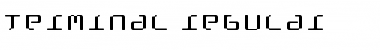 Terminal Regular Font