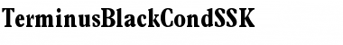 TerminusBlackCondSSK Regular Font