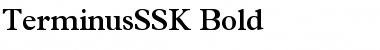 TerminusSSK Bold Font