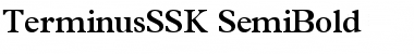 TerminusSSK SemiBold Font