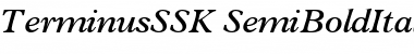 Download TerminusSSK Font