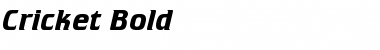 Download Cricket Font