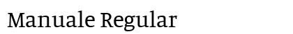 Manuale Regular Preview