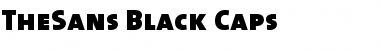 The Sans Black- Regular Font