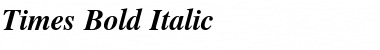 Times Bold Italic Font