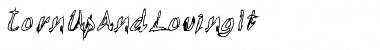 TornUpAndLovingIt Regular Font