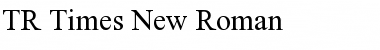 TR Times New Roman Regular Font