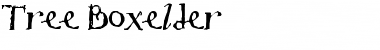 Tree Boxelder Regular Font