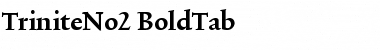TriniteNo2 Bold Font