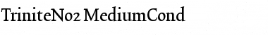 TriniteNo2 Medium Font