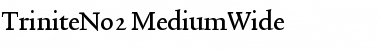 TriniteNo2 Medium Font