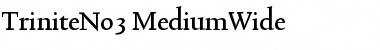 TriniteNo3 Medium Font