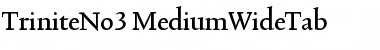 TriniteNo3 Medium Font