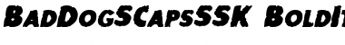 Download BadDogSCapsSSK Font