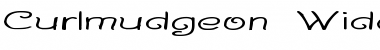 Download Curlmudgeon Wideside Font