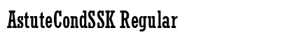 AstuteCondSSK Regular Preview