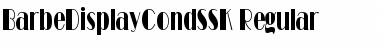 BarbeDisplayCondSSK Regular Font