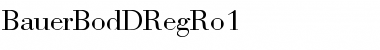 Download BauerBodDRegRo1 Font