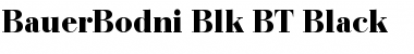 BauerBodni Blk BT Black Font