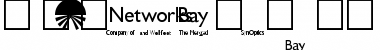 BayNetworksLogos Regular Font