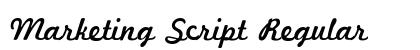 Marketing Script Regular preview
