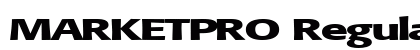 MARKETPRO Regular preview