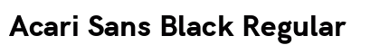 Acari Sans Black Regular preview