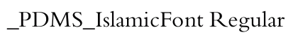 _PDMS_IslamicFont Regular preview