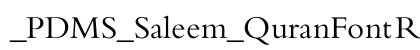 _PDMS_Saleem_QuranFont Regular preview