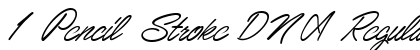 1 Pencil Stroke DNA Regular preview