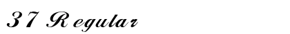 37 Regular preview