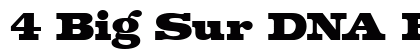 4 Big Sur DNA Regular preview