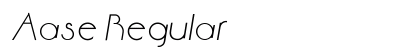 Aase Regular Preview