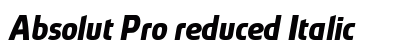 Absolut Pro reduced Italic preview