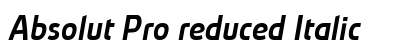 Absolut Pro reduced Italic preview