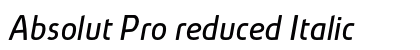 Absolut Pro reduced Italic preview