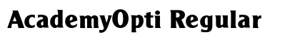 AcademyOpti Regular preview
