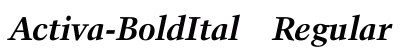 Activa-BoldItal Regular preview